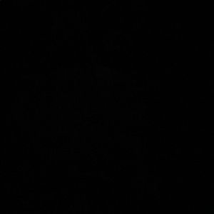 Meet your Posher, Kamryn